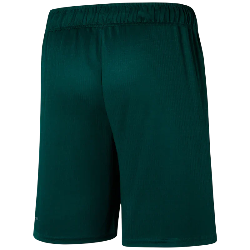 Short Palmeiras 2023/24 Home